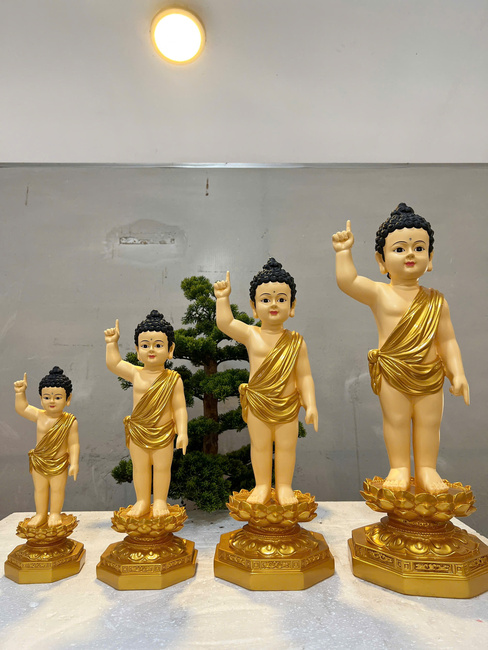Đản Sanh sơn vàng 30-40-50-60-75cm